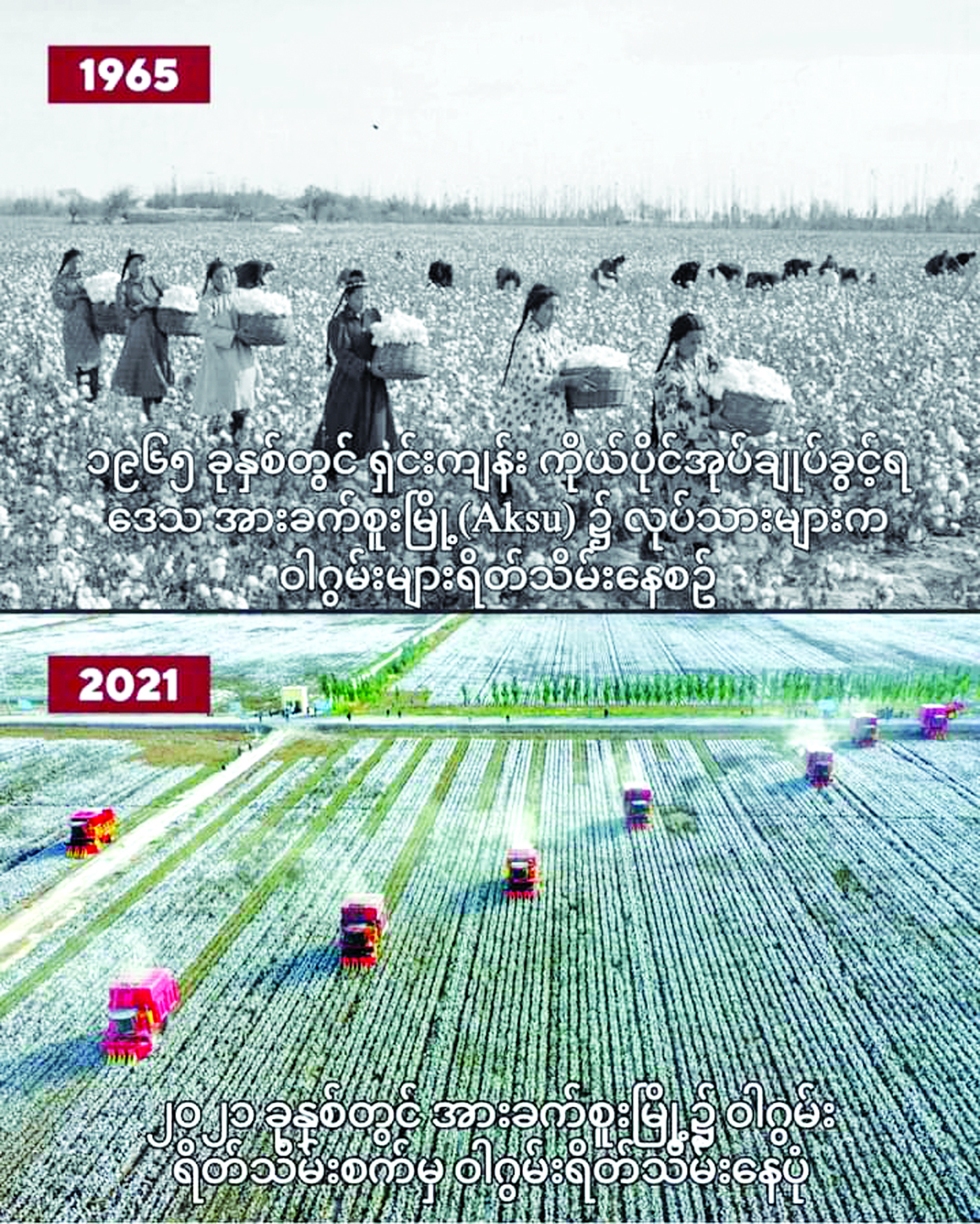 ဆောင်းပါး