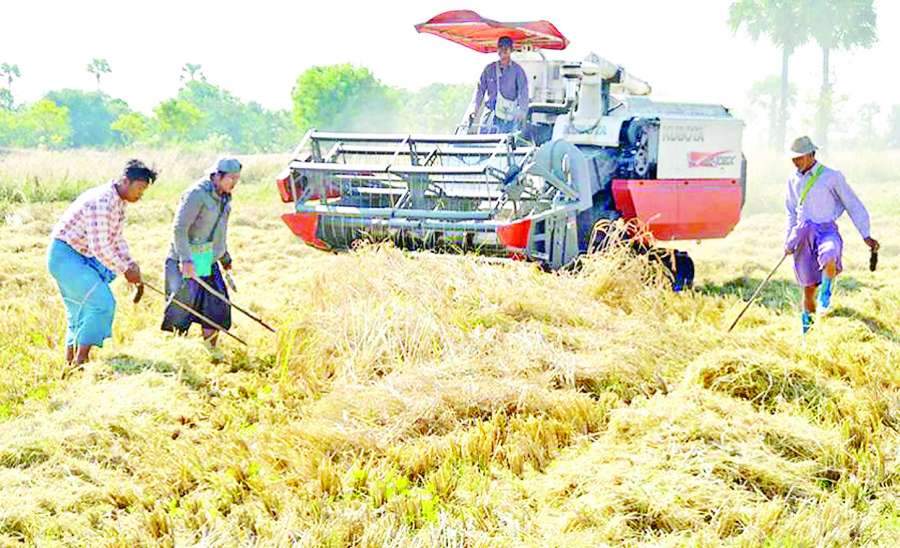 ဆောင်းပါး