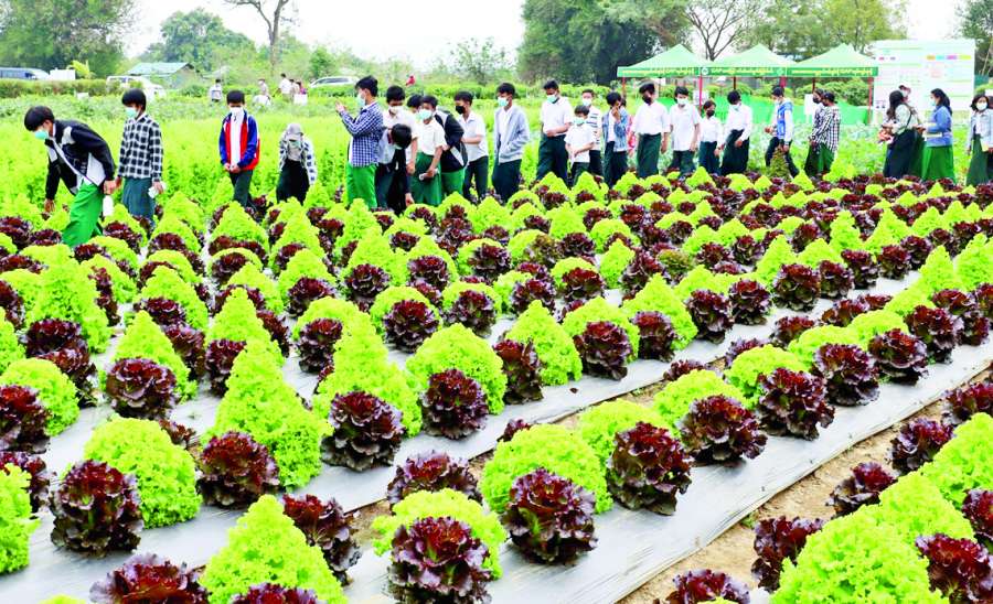 ဆောင်းပါး