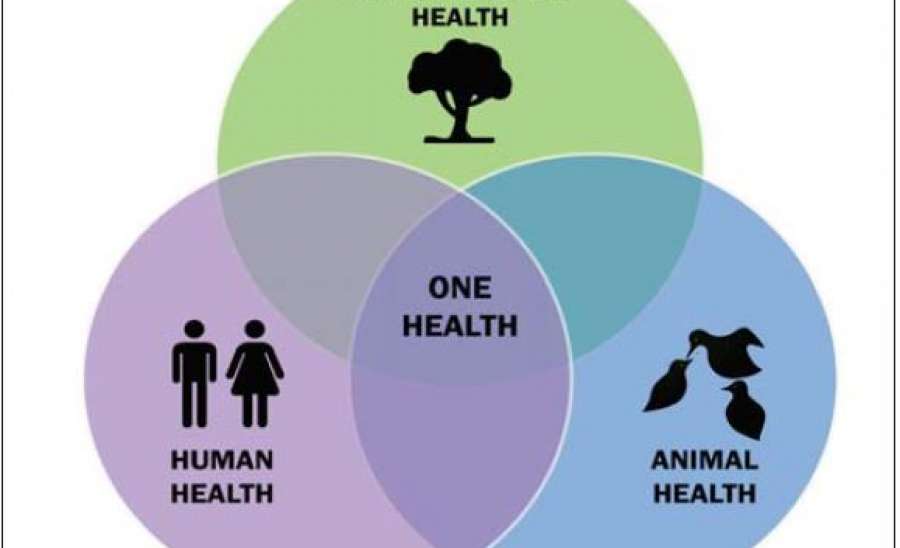 ဆောင်းပါး