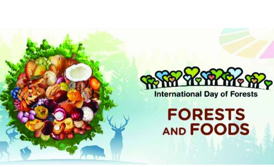 ဆောင်းပါး