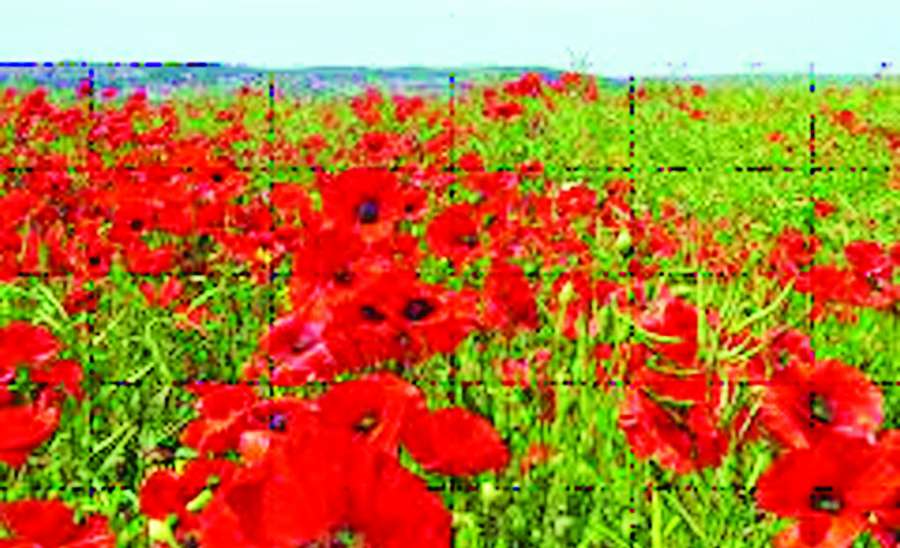 ဆောင်းပါး