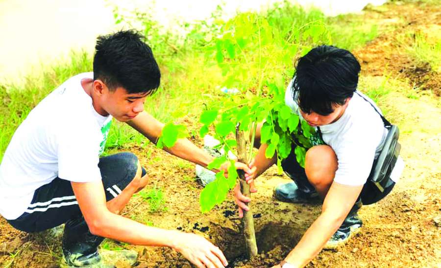 ဆောင်းပါး