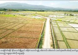 လမ်းတံတား