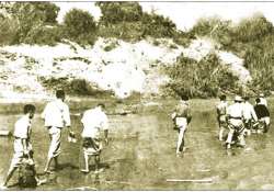 နိုင်ငံရေး