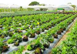 ဆောင်းပါး