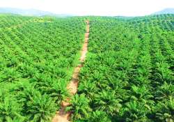 ဒုတိယဆီအိုး ဖြိုးလျှံတိုးအောင် ကြံဆောင်မနှေး ပြည့်ရှေ့ရေး