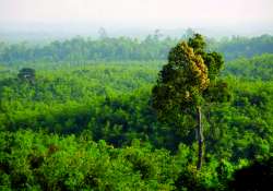 ဆောင်းပါး