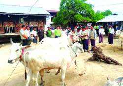 ဆောင်းပါး