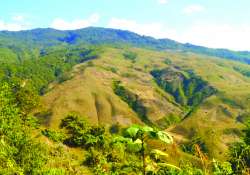 ဆောင်းပါး