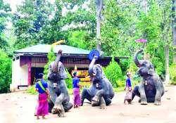 ဆောင်းပါး