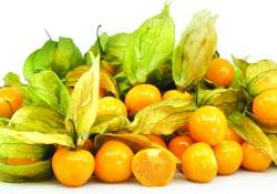 ဆောင်းပါး