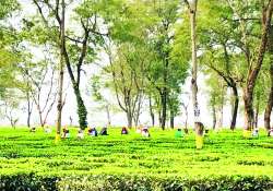 ဆောင်းပါး