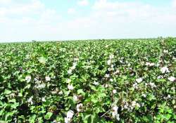 ဆောင်းပါး