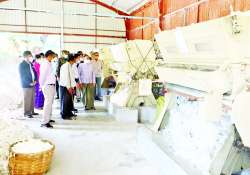 ဆောင်းပါး