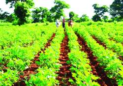 ဆောင်းပါး