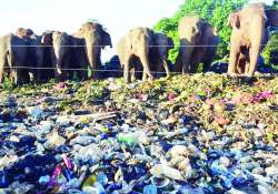 ဆောင်းပါး