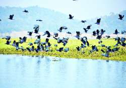 ဆောင်းပါး