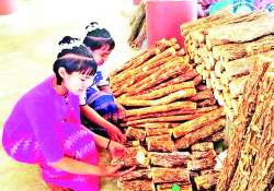 ဆောင်းပါး