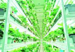 ဆောင်းပါး