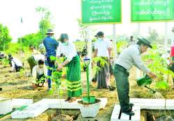 တစ်သက်လုံးစိတ်ချမ်းသာဖို့ သစ်ပင်စိုက်ကြစို့