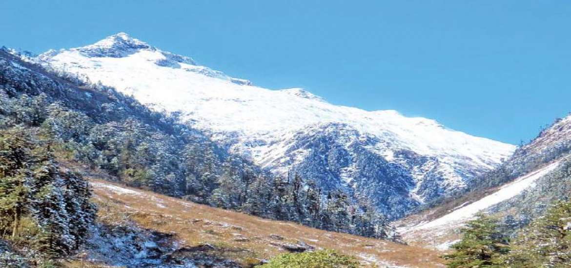 ခရီးသွား 