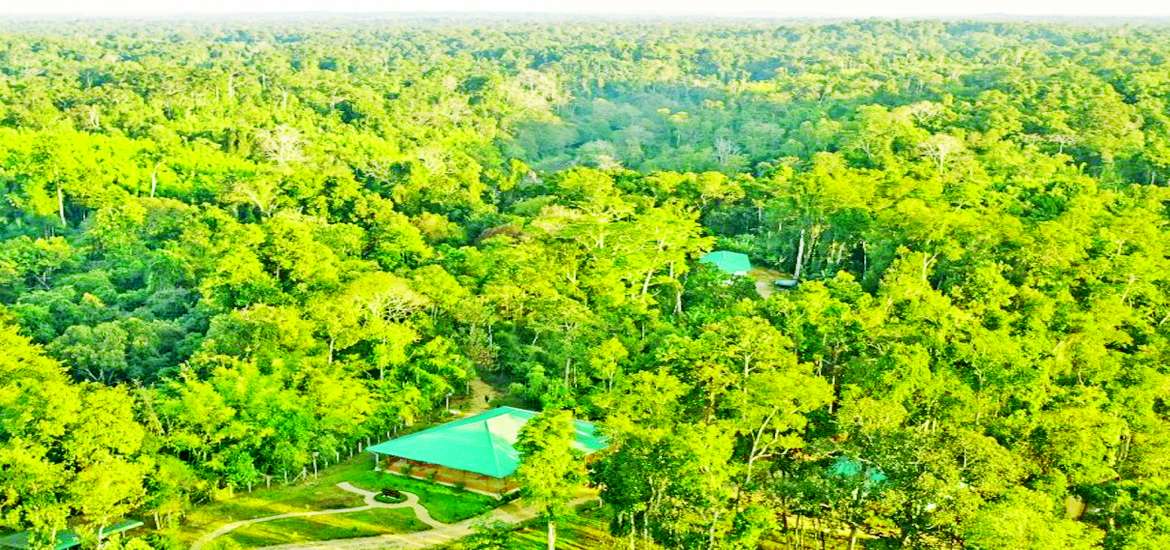 ဆောင်းပါး