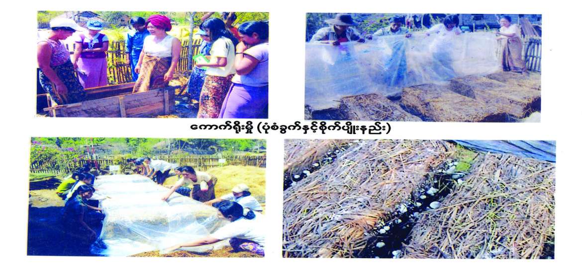 ဆောင်းပါး