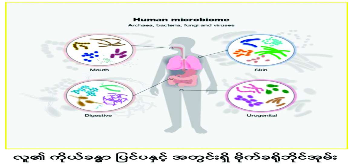 ဆောင်းပါး