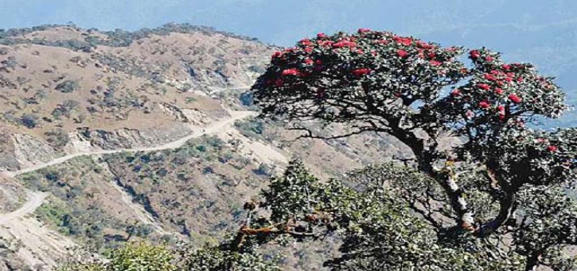 ချင်းတောင်တန်း