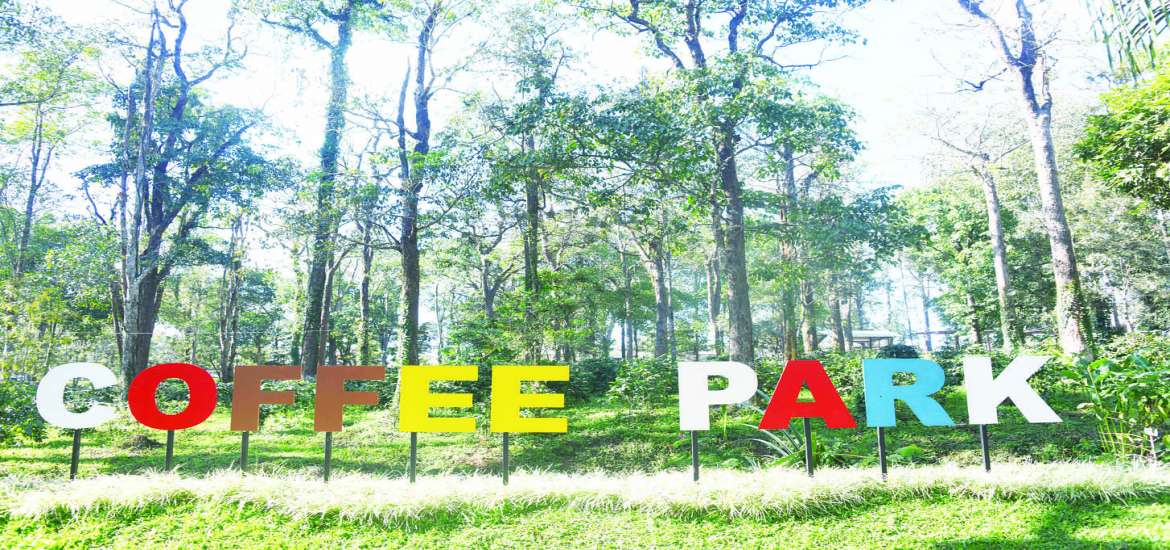 ဆောင်းပါး