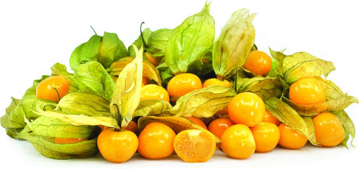 ဆောင်းပါး