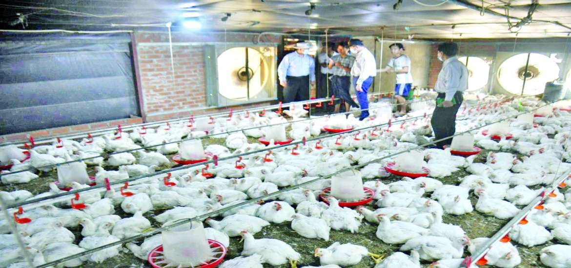 ဆောင်းပါး