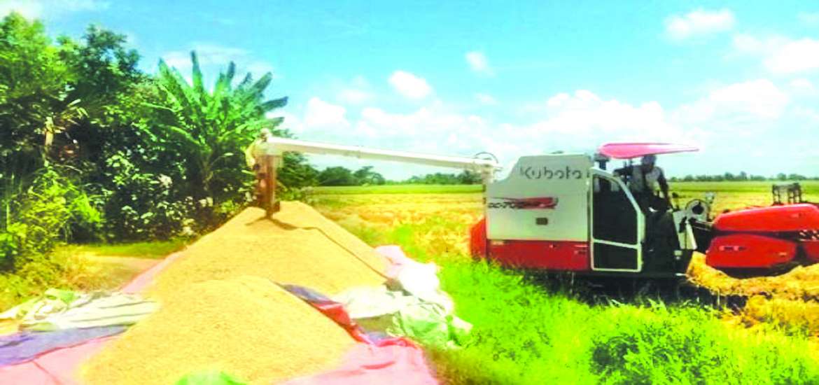 ဆောင်းပါး