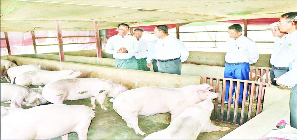 ဆောင်းပါး