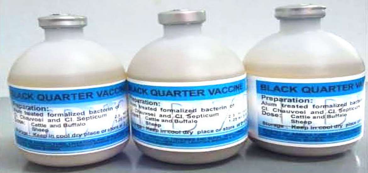 ဆောင်းပါး