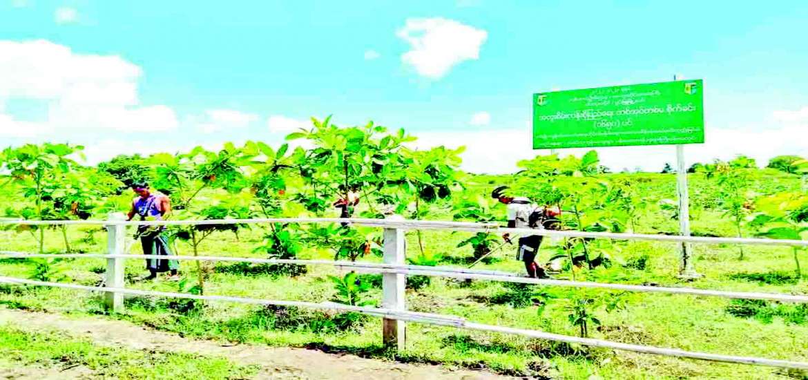 ဆောင်းပါး