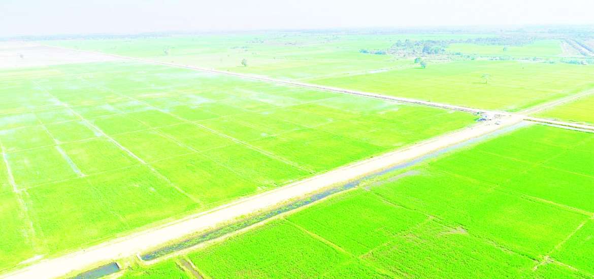 ဖြူးချောင်းရေလှောင်တမံ ဘက်စုံစီမံကိန်းမှသည် စိုက်ပျိုးမွေးမြူ‌ရေးနှင့် လျှပ်စစ်ဓာတ်အားထုတ်လုပ်မှု၏ ဖွံ့ဖြိုးတိုးတက်မှုလင်းရောင်ခြည်များ