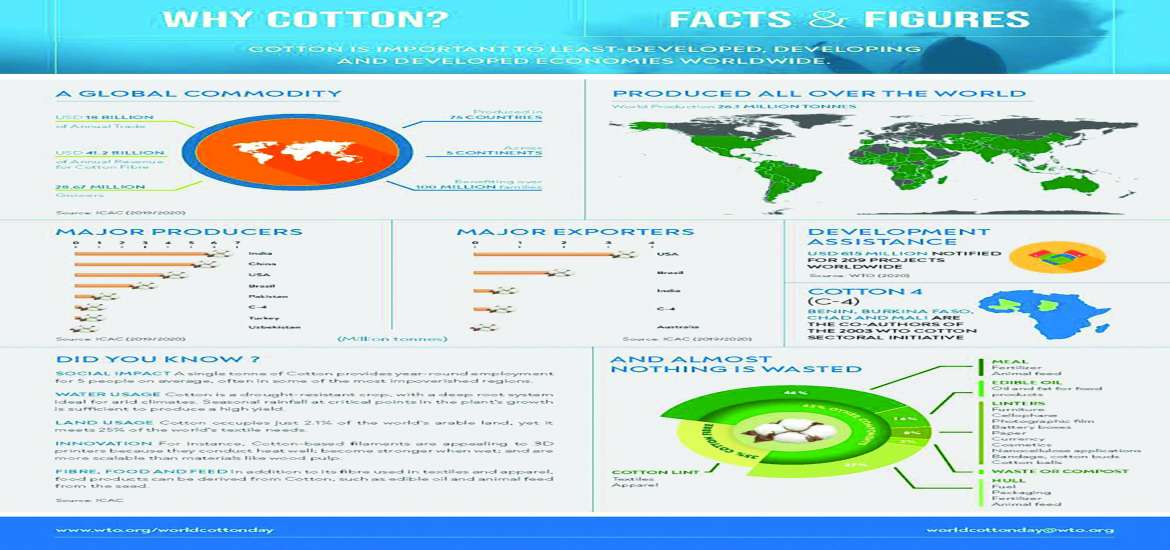 ဝါသီးနှံ၏ အဖိုးတန်ကျေးဇူးတရားများ အထိမ်းအမှတ်ပြု ကမ္ဘာ့ဝါသီးနှံနေ့