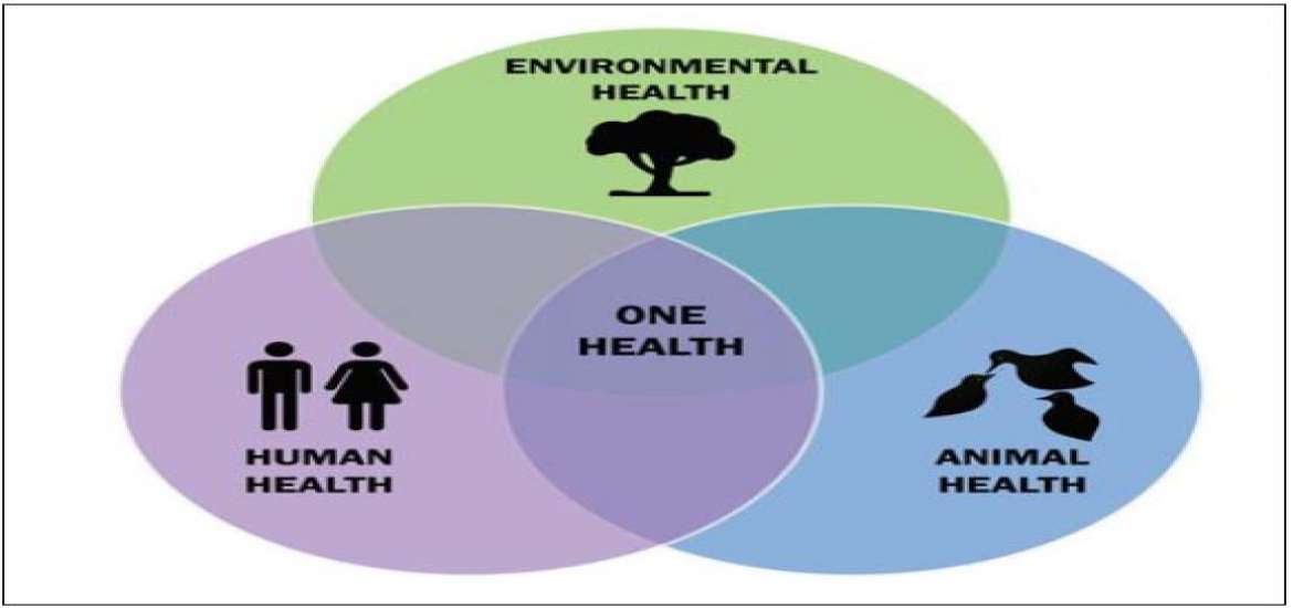 ဆောင်းပါး