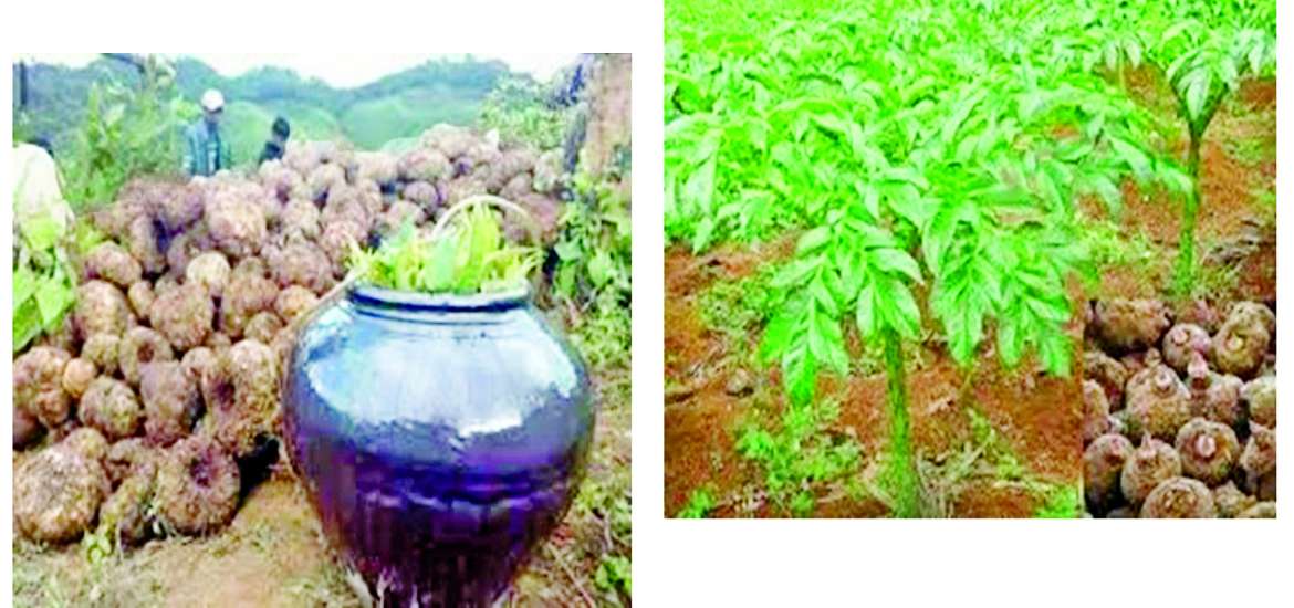 ဆောင်းပါး