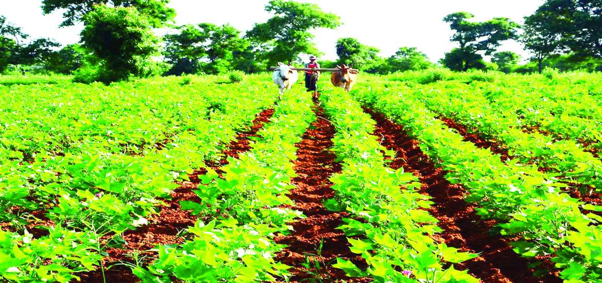 ဆောင်းပါး