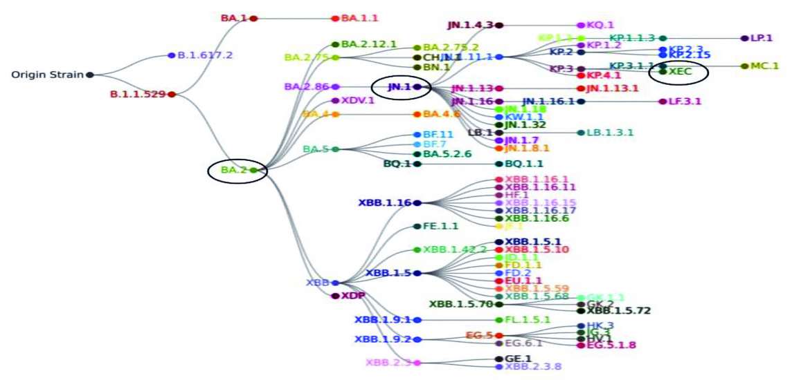 ဆောင်းပါး